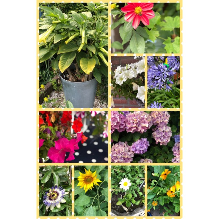 2018-07-07 17.38.12 kopie